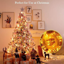 Yu Well LED Fairy Light For Wedding, Festival, Home , Warm White, 100 LED, 7 Meter