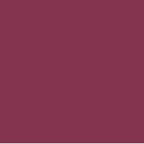Femina21 Smart Fusion Matte Lipstick With Radiant Finish FML 11