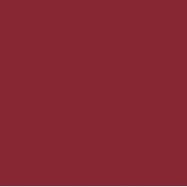 Femina21 Smart Fusion Matte Lipstick With Radiant Finish FML 12