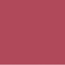 Femina21 Smart Fusion Matte Lipstick With Radiant Finish FML 13