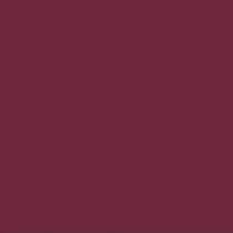 Femina21 Smart Fusion Matte Lipstick With Radiant Finish FML 14
