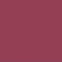 Femina21 Smart Fusion Matte Lipstick With Radiant Finish FML 16