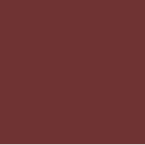 Femina21 Smart Fusion Matte Lipstick With Radiant Finish FML 18