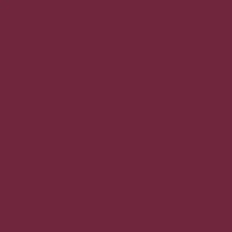 Femina21 Smart Fusion Matte Lipstick With Radiant Finish FML 19