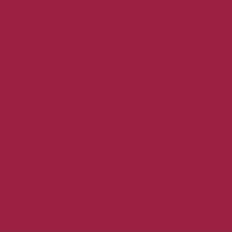 Femina21 Smart Fusion Matte Lipstick With Radiant Finish FML 20