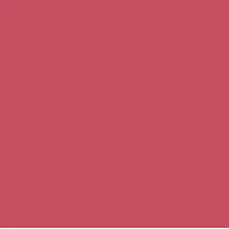 Femina21 Smart Fusion Matte Lipstick With Radiant Finish FML 01