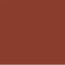 Femina21 Smart Fusion Matte Lipstick With Radiant Finish FML 02