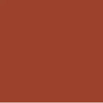 Femina21 Smart Fusion Matte Lipstick With Radiant Finish FML 05