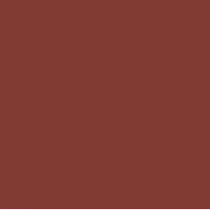 Femina21 Smart Fusion Matte Lipstick With Radiant Finish FML 06