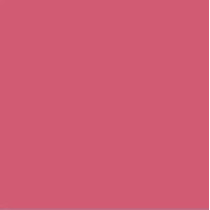 Femina21 Smart Fusion Matte Lipstick With Radiant Finish FML 07
