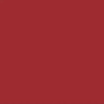 Femina21 Smart Fusion Matte Lipstick With Radiant Finish FML 08