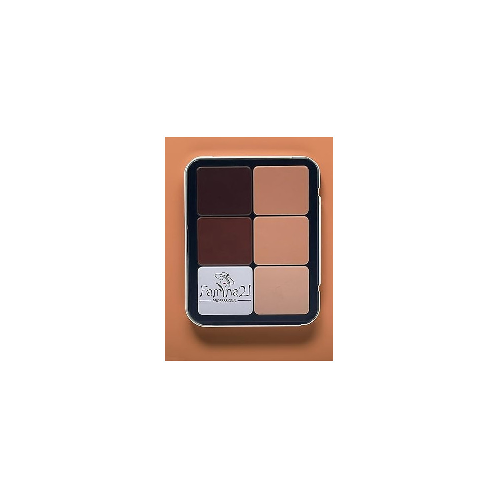 Famina21 12 Color Contour Blusher Powder Palette For All Skin Type