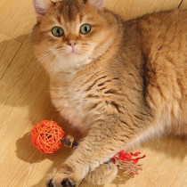 M-Pets Charmy Amulet Matatabi Catnip Cat Toy, Orange