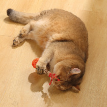 M-Pets Charmy Amulet Matatabi Catnip Cat Toy, Orange