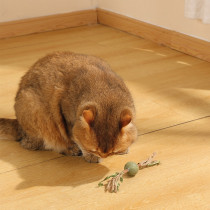 M-Pets Charmy Branch Catnip Cat Toy Lightweight, Green