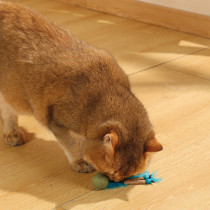 M-Pets Charmy Bugbear Catnip Cat Toy Lightweight, Blue