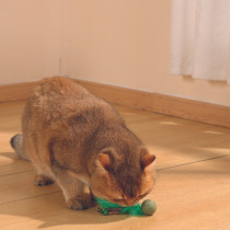 M-Pets Charmy Bugbear Catnip Cat Toy Lightweight, Green