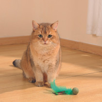 M-Pets Charmy Bugbear Catnip Cat Toy Lightweight, Green