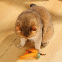 M-Pets Charmy Bugbear Catnip Cat Toy Lightweight, Orange