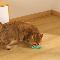 M-Pets Charmy Firefly Catnip Cat Toy Lightweight, Green