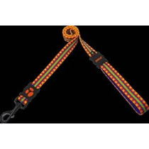 Doco 4 Feet Loco Leash For Dogs, Texture Lime Street, Size Small