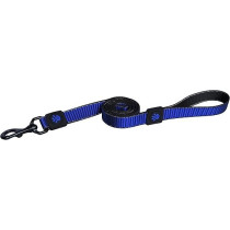 Doco 4 Feet Martini Bean Nylon Dog Leash, Blue, Medium