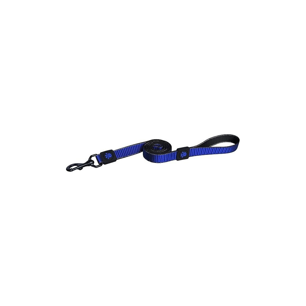Doco 4 Feet Martini Bean Nylon Dog Leash, Blue, Medium