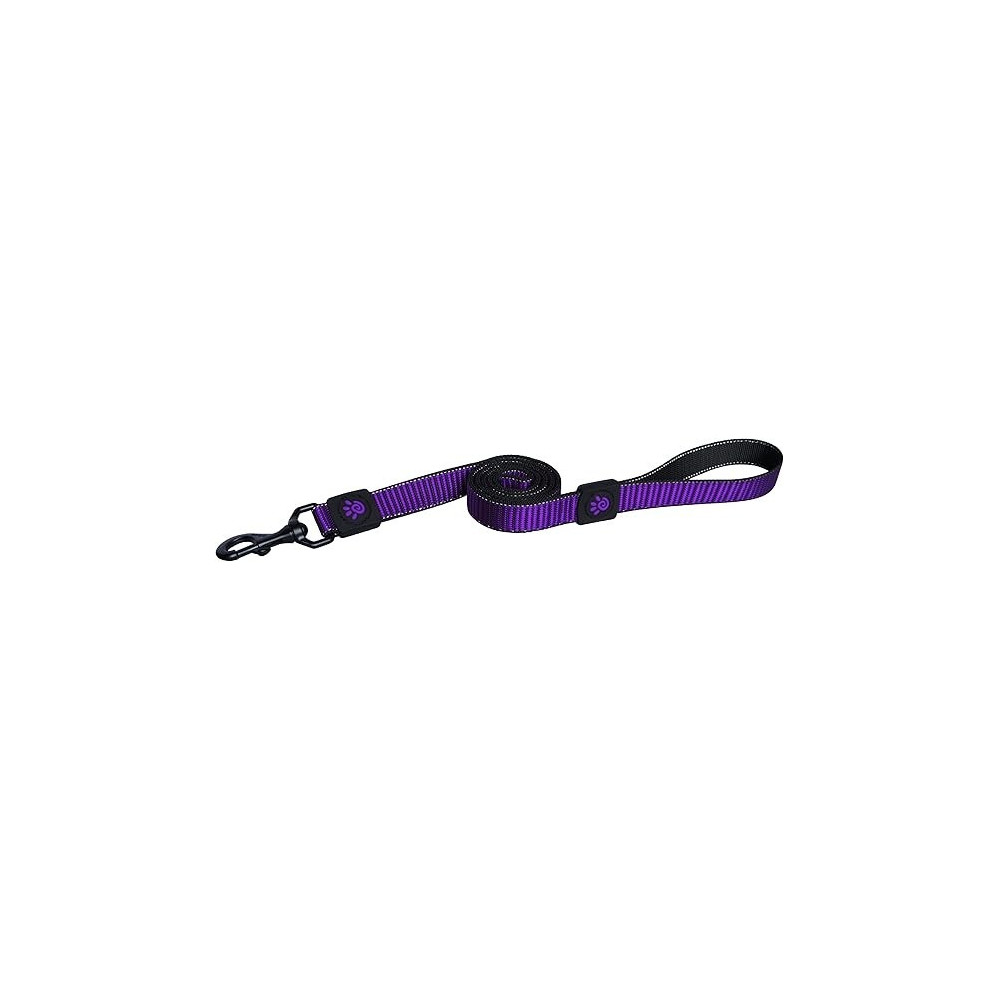 Doco 4 Feet Martini Bean Nylon Dog Leash, Purple, Medium