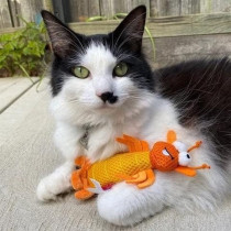 Gigwi Dental Mesh Shrimp Cat Toy, Orange