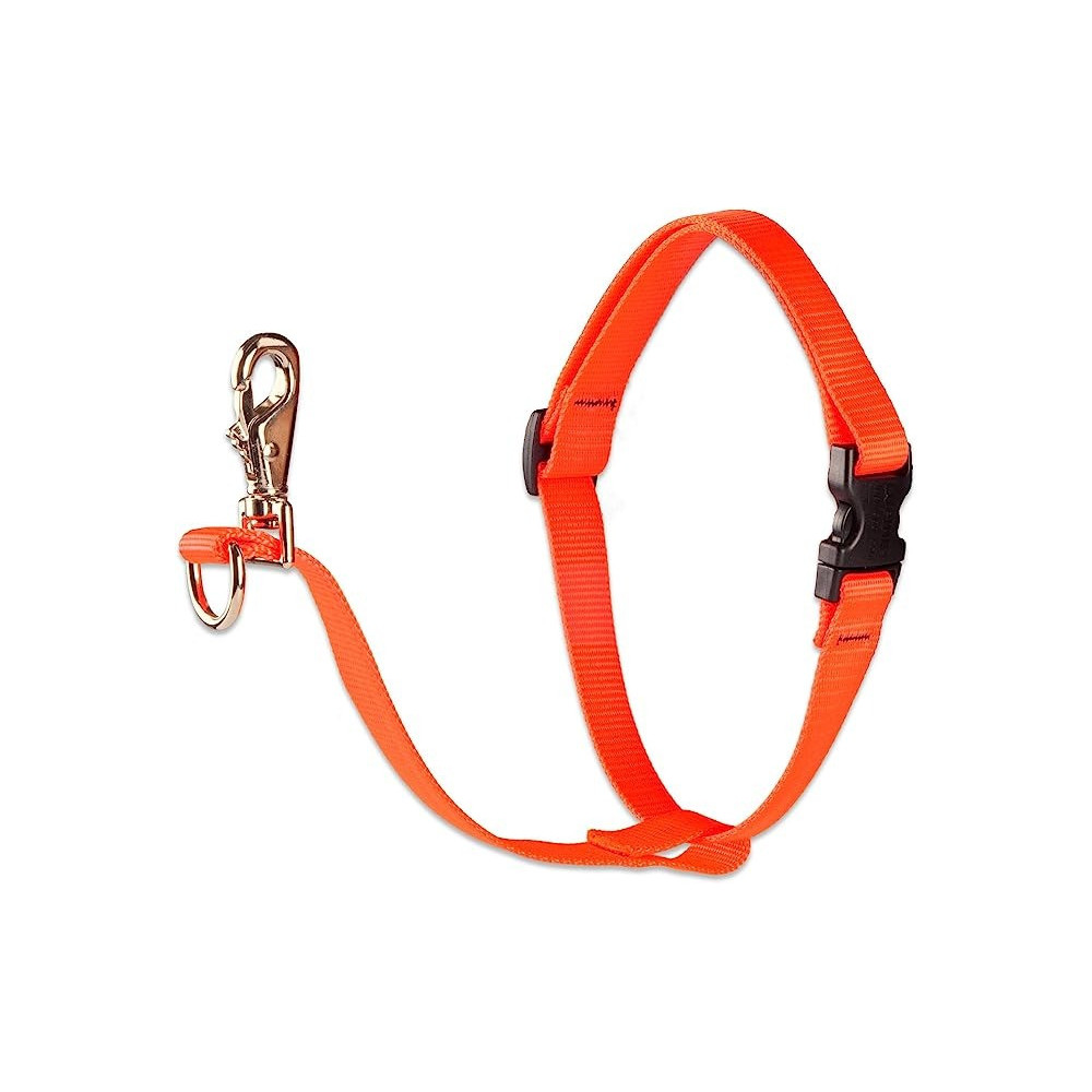 Lupine No Pull Harness 26-38Cm, Orange, 1 Inch