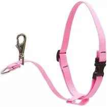 Lupine No Pull Harness...