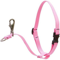 Lupine No Pull Harness 26-38Cm, Pink, 1 Inch