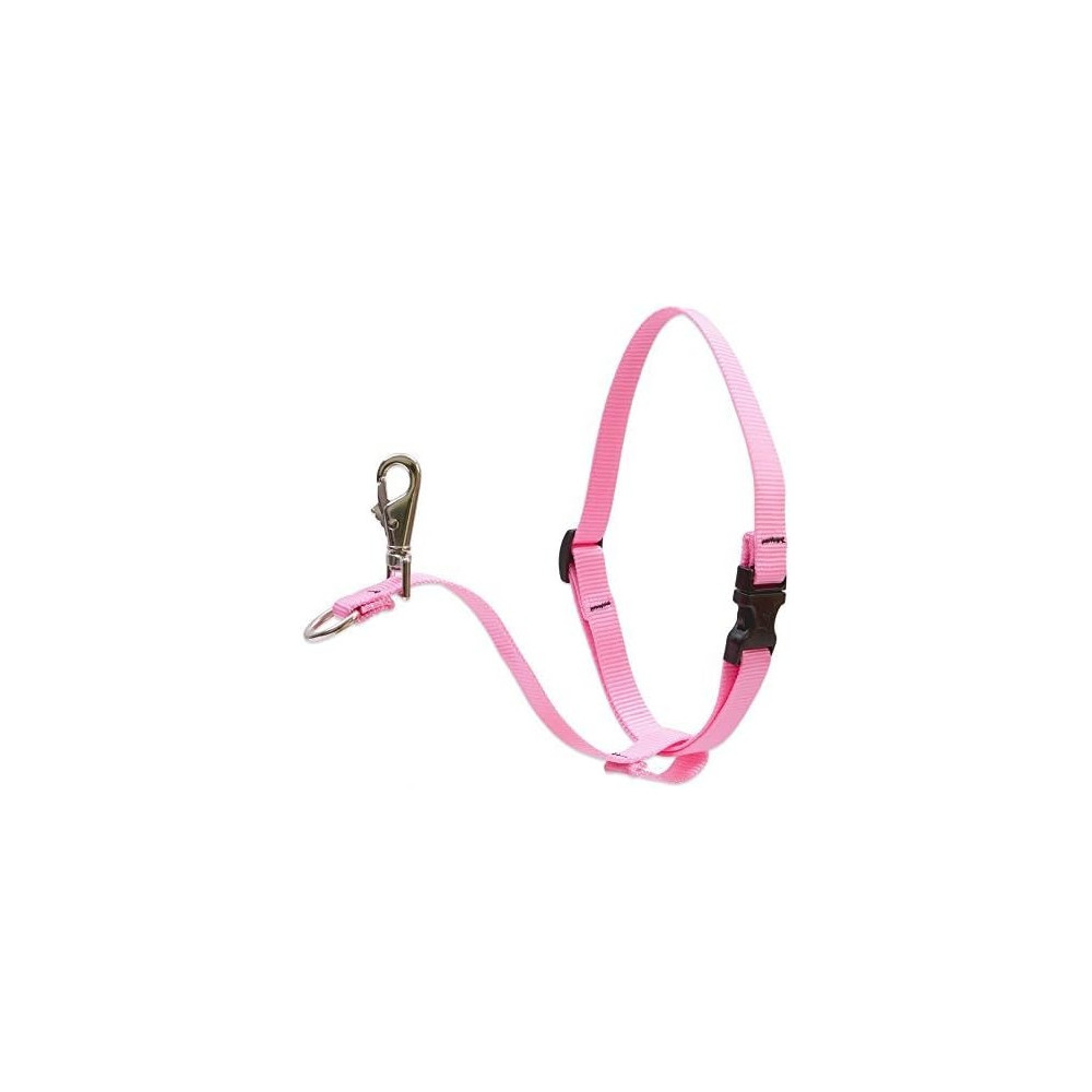 Lupine No Pull Harness 26-38Cm, Pink, 1 Inch