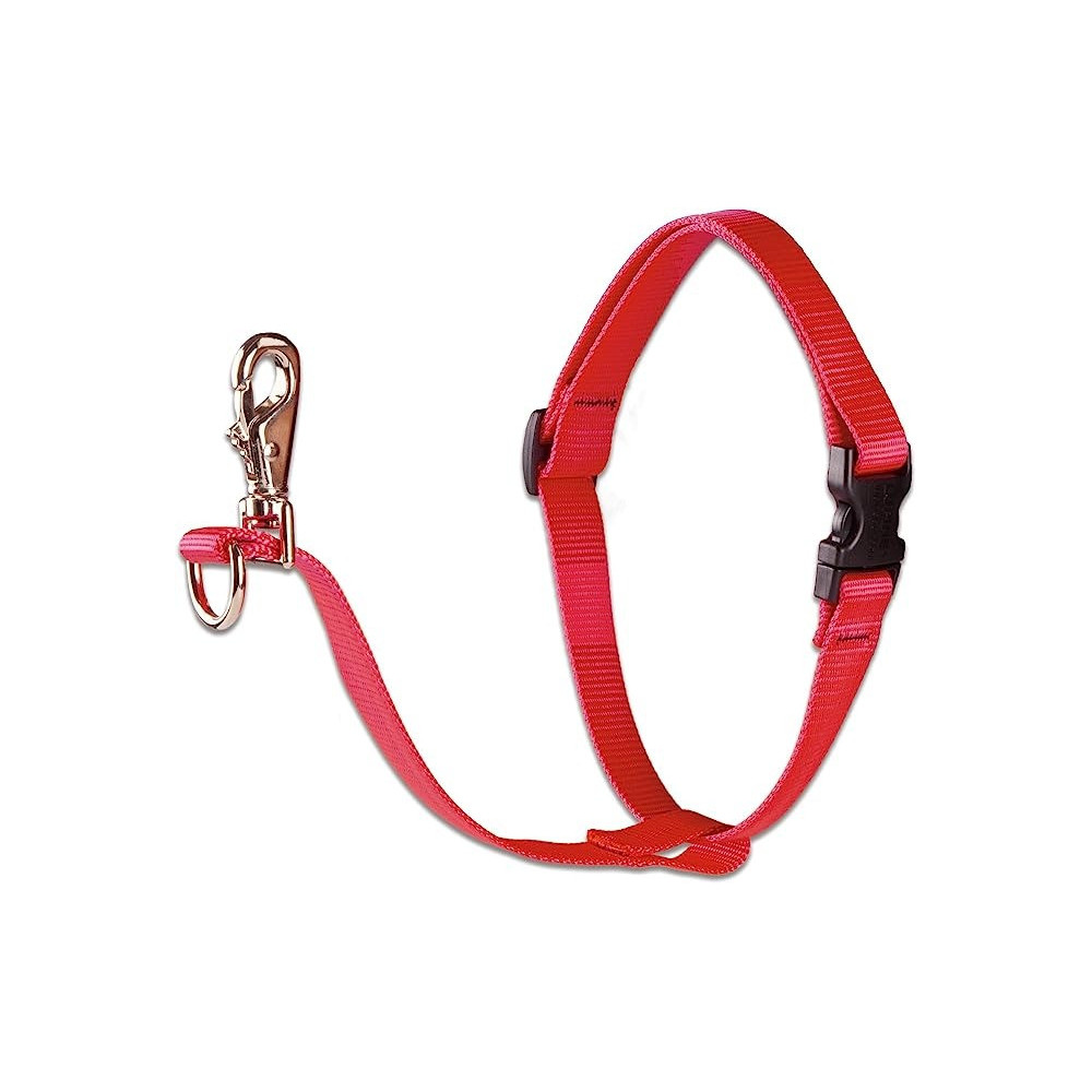 Lupine No Pull Harness 26-38Cm, Red, 1 Inch