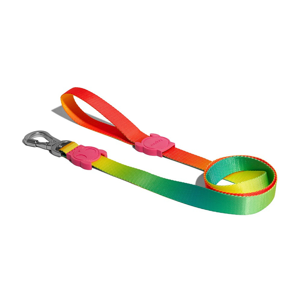 Zee.Dog Citrus Leash For Dog, Extra Small Length 1.2 m