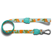 Zee.Dog Florida Leash For Dog, Small Length 1.2 m