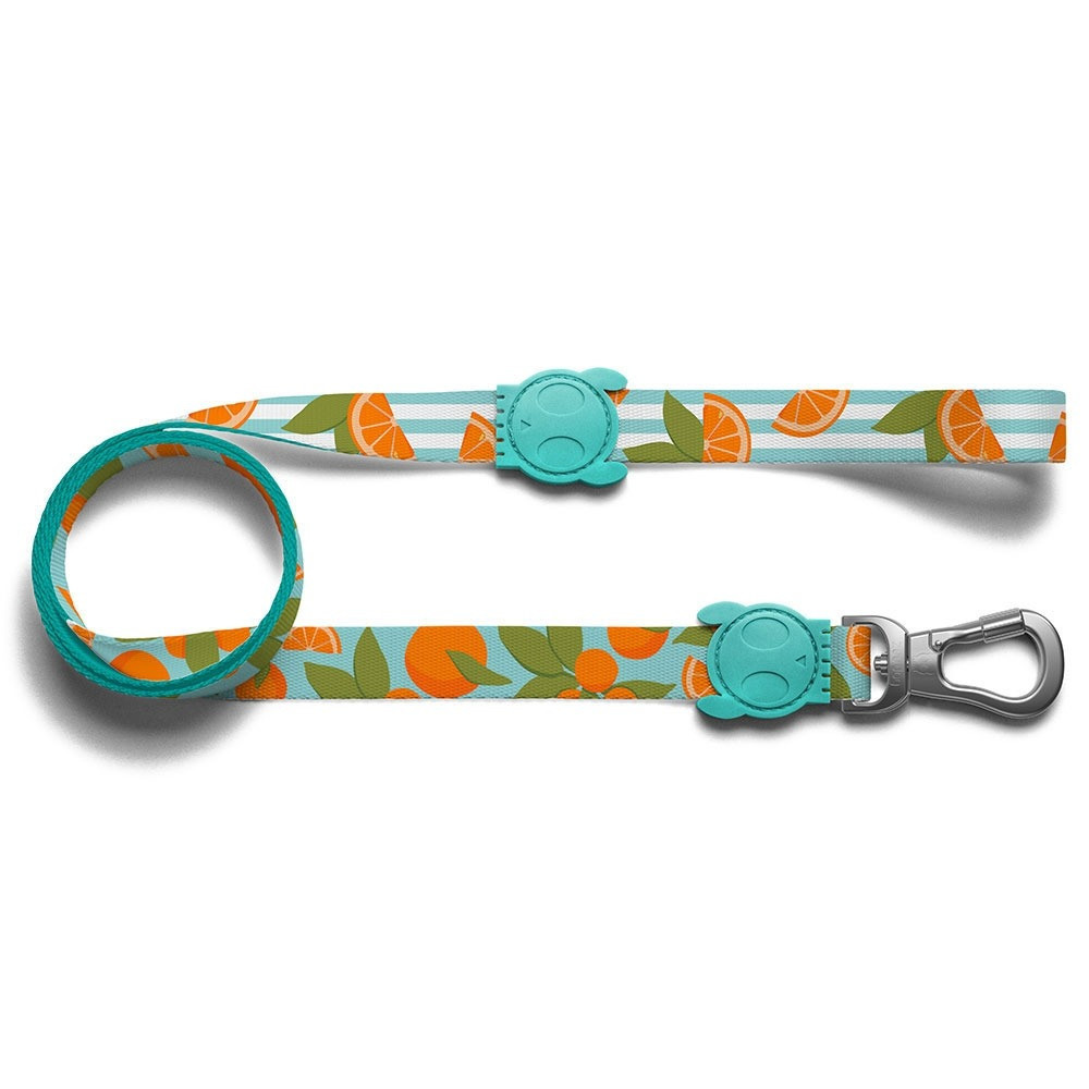 Zee.Dog Florida Leash For Dog, Extra Small Length 1.2 m
