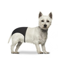 Duvo+ Stretch Easy Fit Dog Pant, Black, Size 24-31 cm