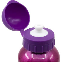 Stor High Stylish Aluminium Bottle With Paw Patrol Theme, Lightweight And Eco Friendly, 530ml