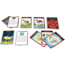 Eeboo An Educational Activity Natural And Earth Science Flash Card Games For Kids 5 Years And Above