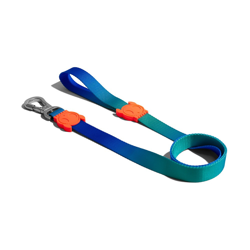 Zee.Dog Tide Leash, Lightweight And Durable For Dog, Small, Blue