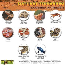 Exo Terra Glass Natural Terrarium, Medium, 60 x 45 x 60 cm