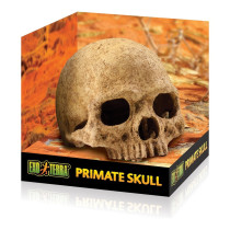 Exo Terra Terrarium Decor For Reptiles, Primate Skull