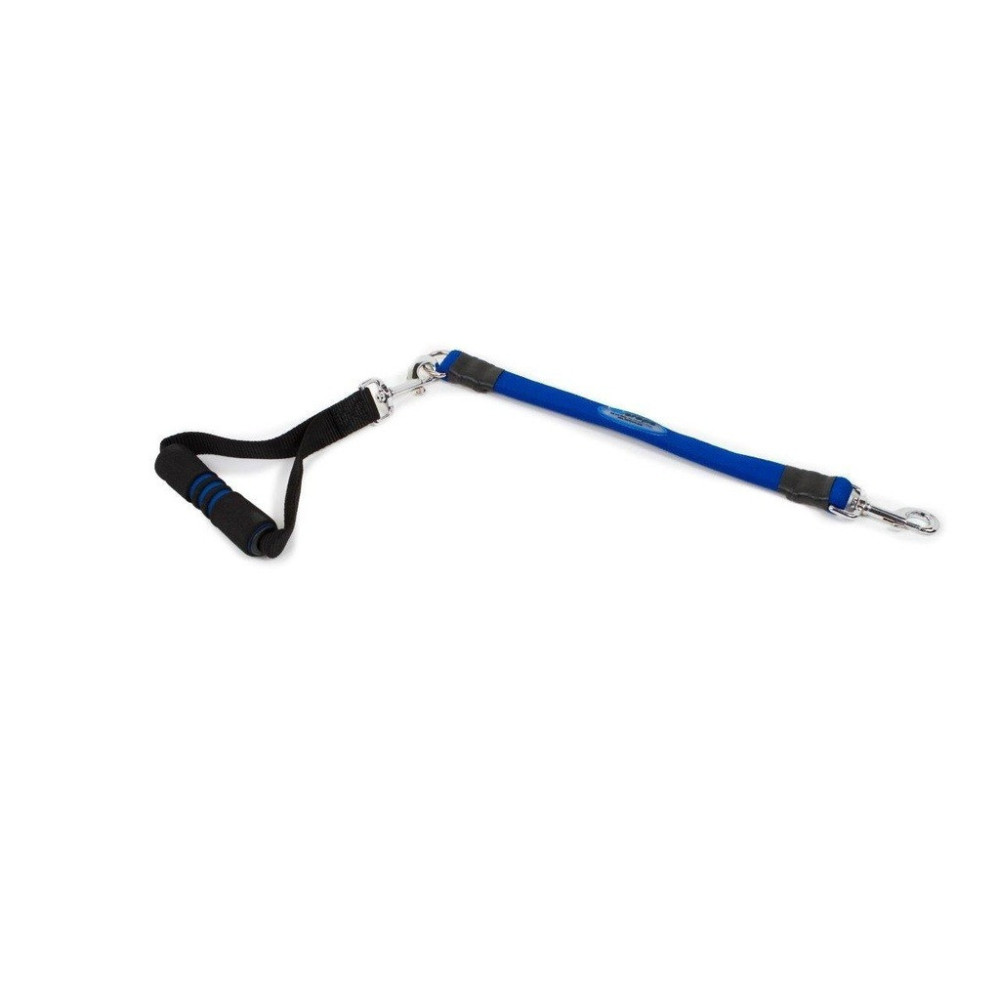 Bergan Ez Steps Stretch Leash For Dogs, Large, Blue Colour