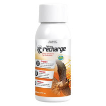 Vetafarm Falcon Recharge Energy Activator For High Performance, 50 ml
