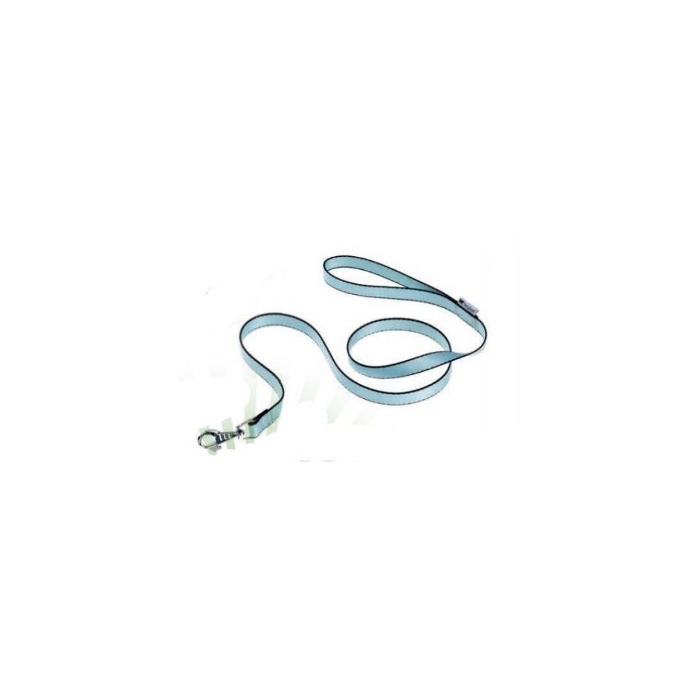 Ferplast Club Nylon Dog Leash, Light Blue Colour, Dimension 10mm x L 120 cm