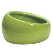 Living World Hagen Ergonomic Ceramic Dish, Large, Green