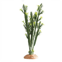 Hobby Euphorbia For Terrarium Decor, 25 x 10 x 49 Cm