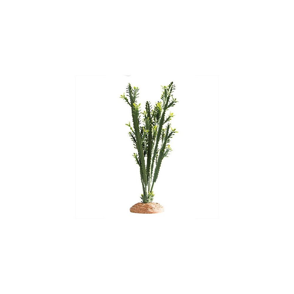 Hobby Euphorbia For Terrarium Decor, 25 x 10 x 49 Cm