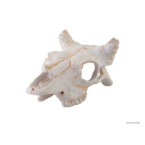 Exo Terra Buffalo Skull Reptile Products, Small